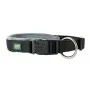 Collar para Perro Hunter Negro de Hunter, Collares - Ref: S6102795, Precio: 11,70 €, Descuento: %