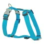 Harnais pour Chien Red Dingo Lisse 37-61 cm Turquoise de Red Dingo, Harnais - Réf : S6103192, Prix : 14,22 €, Remise : %