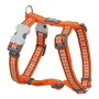 Dog Harness Red Dingo Bone Reflective 25-39 cm Orange by Red Dingo, Harnesses - Ref: S6103200, Price: 13,44 €, Discount: %