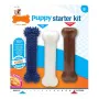 Mordedor para cão Nylabone Extreme Chew Starter Kit Cachorros Frango Nylon Termoplástico (3 pcs) de Nylabone, Brinquedos para...