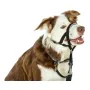 Dressurhalsband für Hunde Company of Animals Halti Schwarz Maulkorb (29-36 cm) von Company of Animals, Trainingshalsbänder - ...