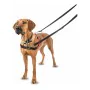 Harnais pour Chien Company of Animals Halti Noir/Rouge Taille S (36-64 cm) de Company of Animals, Harnais - Réf : S6103602, P...