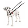 Dog Harness Company of Animals Halti Black/Red Size S (36-64 cm) by Company of Animals, Harnesses - Ref: S6103602, Price: 17,...