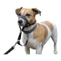 Dog Training Collars Company of Animals Halti Black Muzzle (31-40 cm) by Company of Animals, Training collars - Ref: S6103603...