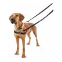 Dog Harness Company of Animals Halti Black/Red Size M (58-86 cm) by Company of Animals, Harnesses - Ref: S6103608, Price: 19,...