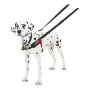 Harnais pour Chien Company of Animals Halti Noir/Rouge Taille M (58-86 cm) de Company of Animals, Harnais - Réf : S6103608, P...