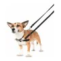 Imbracatura per Cani Company of Animals Halti Nero/Rosso L (80-120 cm) di Company of Animals, Imbracature - Rif: S6103609, Pr...