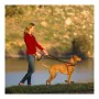 Imbracatura per Cani Company of Animals Halti Nero/Rosso L (80-120 cm) di Company of Animals, Imbracature - Rif: S6103609, Pr...