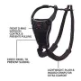 Imbracatura per Cani Company of Animals Halti Taglia S (26-36 cm) di Company of Animals, Imbracature - Rif: S6103610, Prezzo:...