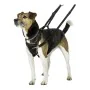 Harnais pour Chien Company of Animals Halti Taille S (26-36 cm) de Company of Animals, Harnais - Réf : S6103610, Prix : 19,70...