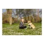 Arnés para Perro Company of Animals Halti Talla M (34-56 cm) de Company of Animals, Arneses - Ref: S6103611, Precio: 22,64 €,...