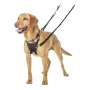 Dog Harness Company of Animals Halti Size M (34-56 cm) by Company of Animals, Harnesses - Ref: S6103611, Price: 22,64 €, Disc...