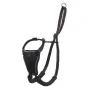 Arnés para Perro Company of Animals L Negro de Company of Animals, Arneses - Ref: S6103612, Precio: 25,06 €, Descuento: %