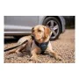 Dog Harness Company of Animals CarSafe Black XS by Company of Animals, Safety Harnesses - Ref: S6103613, Price: 19,94 €, Disc...