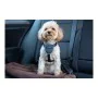 Imbracatura per Cani Company of Animals CarSafe Nero Taglia M di Company of Animals, Redini primi passi - Rif: S6103615, Prez...