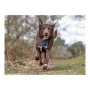 Imbracatura per Cani Company of Animals CarSafe Nero Taglia M di Company of Animals, Redini primi passi - Rif: S6103615, Prez...