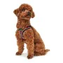 Arnés para Perro Hunter Hilo-Comfort Rojo (30-35 cm) de Hunter, Arneses - Ref: S6103642, Precio: 18,37 €, Descuento: %