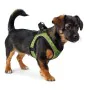 Dog Harness Hunter Hilo-Comfort Lime Size XXS (26-30 cm) by Hunter, Harnesses - Ref: S6103649, Price: 17,63 €, Discount: %