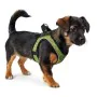 Dog Harness Hunter Hilo-Comfort Lime (30-35 cm) by Hunter, Harnesses - Ref: S6103650, Price: 17,63 €, Discount: %