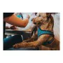 Arnês para Cães Hunter Hilo Comfort 55-60 cm Laranja M de Hunter, Arneses - Ref: S6103669, Preço: 20,96 €, Desconto: %