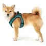 Dog Harness Hunter Hilo-Comfort Turquoise XS size (35-37 cm) by Hunter, Harnesses - Ref: S6103679, Price: 19,43 €, Discount: %