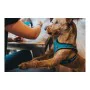 Dog Harness Hunter Hilo Comfort 55-60 cm Size M Turquoise by Hunter, Harnesses - Ref: S6103683, Price: 20,96 €, Discount: %