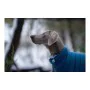 Manteau pour Chien Red Dingo Puffer Turquoise 25 cm de Red Dingo, Manteaux et vestes - Réf : S6103762, Prix : 24,47 €, Remise...