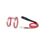 Arnês para Cães Red Dingo Rainbow 21-35 cm Vermelho Multicolor de Red Dingo, Arneses - Ref: S6104196, Preço: 16,63 €, Descont...