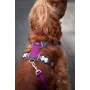 Arnés para Perro Red Dingo Dingo 25-36 cm 31-43 cm Morado XS de Red Dingo, Arneses - Ref: S6104230, Precio: 26,05 €, Descuent...