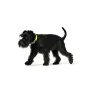 Coleira para Cães Hunter Convenience 53-61 cm L/XL Amarelo de Hunter, Coleiras - Ref: S6104251, Preço: 11,60 €, Desconto: %