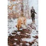 Collare per Cani Hunter Convenience 47-55 cm L Arancio di Hunter, Collari - Rif: S6104255, Prezzo: 11,33 €, Sconto: %