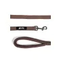 Laisse pour Chien Gloria 120 cm Marron S de Gloria, Sangles - Réf : S6104264, Prix : 7,36 €, Remise : %