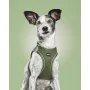 Arnês para Cães Gloria 51-52 cm Verde L 33,4-35 cm de Gloria, Arneses - Ref: S6104284, Preço: 9,17 €, Desconto: %