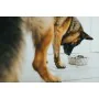 Comedouro para Cão Hunter Silicone Aço inoxidável 1,05 L de Hunter, Pratos - Ref: S6104455, Preço: 7,43 €, Desconto: %