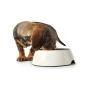 Dog Feeder Hunter Black 1,4 L Melamin by Hunter, Bowls - Ref: S6104463, Price: 31,70 €, Discount: %