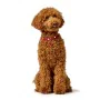 Coleira para Cães Hunter Love S/M 35-43 cm Vermelho de Hunter, Coleiras - Ref: S6104544, Preço: 38,50 €, Desconto: %