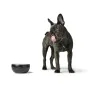 Dog Feeder Hunter Black Ceramic Silicone 900 ml Modern by Hunter, Bowls - Ref: S6104581, Price: 13,72 €, Discount: %