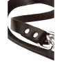 Trela para Cães Hunter Castanho 2 m Ajustável Couro de Hunter, Trelas - Ref: S6104587, Preço: 35,99 €, Desconto: %