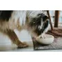 Ciotola per cani Hunter Bianco Ceramica Silicone 310 ml Moderno di Hunter, Piatti - Rif: S6104604, Prezzo: 11,27 €, Sconto: %