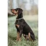 Coleira para Cães Hunter Verde 45-65 cm de Hunter, Coleiras - Ref: S6104653, Preço: 14,06 €, Desconto: %