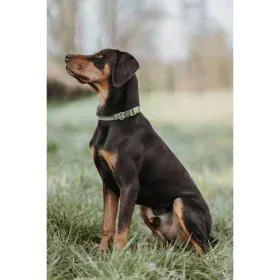 Coleira para Cães Hunter Verde 45-65 cm de Hunter, Coleiras - Ref: S6104653, Preço: 14,64 €, Desconto: %