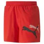 Calções de Desporto para Homem Puma Ess+ Logo Power Cat For All Time Vermelho de Puma, Homem - Ref: S64109326, Preço: 28,41 €...