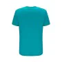 Camiseta de Manga Corta Hombre Russell Athletic Amt A30081 Aguamarina de Russell Athletic, Hombre - Ref: S64110612, Precio: 1...