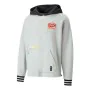 Sweat à capuche unisex Puma Boroughs Gris de Puma, Homme - Réf : S64112305, Prix : 59,64 €, Remise : %