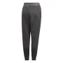 Pantalón de Chándal para Niños Adidas Nemeziz Gris oscuro de Adidas, Niño - Ref: S64114499, Precio: 37,90 €, Descuento: %