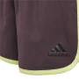 Sport Shorts Adidas Training Marathon Dunkelrot von Adidas, Frau - Ref: S64114507, Preis: 19,18 €, Rabatt: %