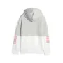 Sudadera Infantil Puma Power Colorblock Gris de Puma, Niño - Ref: S64121614, Precio: 45,25 €, Descuento: %