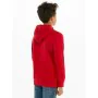 Sudadera Infantil Levi's Batwing Screenprint Rojo de Levi's, Niño - Ref: S64121615, Precio: 41,02 €, Descuento: %