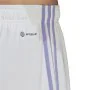 Fußball-Trainingshose für Erwachsene Real Madrid C.F. First Kit 22/23 Weiß Unisex von Real Madrid C.F., Herren - Ref: S641272...