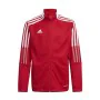 Chaqueta Deportiva para Niños Adidas Tiro21 Tk Blanco de Adidas, Niño - Ref: S64127317, Precio: 22,84 €, Descuento: %